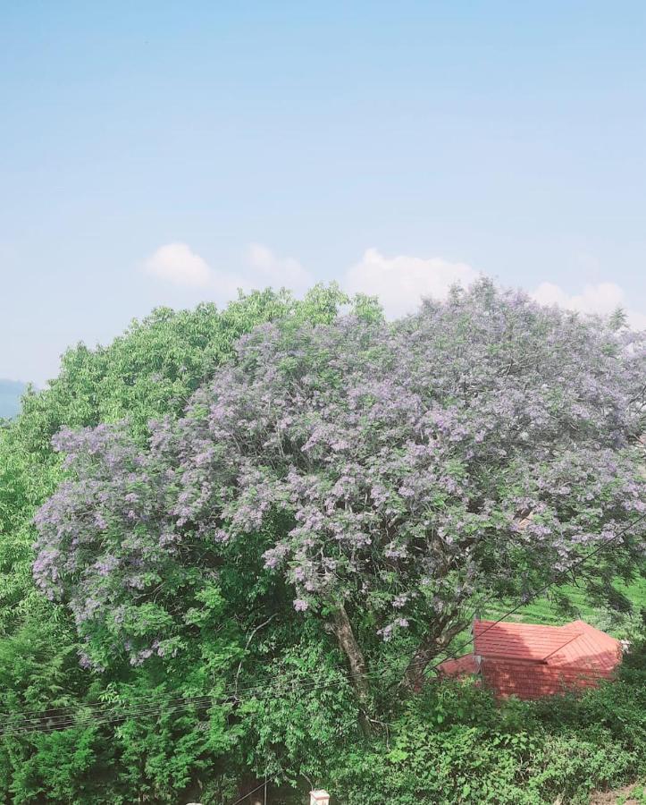 クーヌール Camellia Heights 1&2 Bed & Breakfast エクステリア 写真